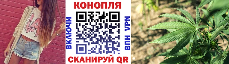 купить наркотики цена  Катайск  Бошки марихуана индика 